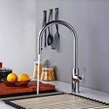 Kitchen-Faucet-Discreeto-Single-Hole-Kitchen-Faucet-With-Pull-Out-Spout-chrome-Signature-Faucets #color_chrome