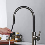Kitchen-Faucet-Discreeto-Single-Hole-Kitchen-Faucet-With-Pull-Out-Spout-gun-metal-gray-Signature-Faucets #color_gun black