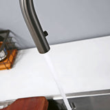 Kitchen-Faucet-Discreeto-Single-Hole-Kitchen-Faucet-With-Pull-Out-Spout-gun-metal-gray-Signature-Faucets #color_gun black