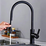 Kitchen-Faucet-Discreeto-Single-Hole-Kitchen-Faucet-With-Pull-Out-Spout-matte-black-Signature-Faucets #color_matte black