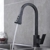 Kitchen Faucet - Besas Dual Function Pull Down Spout Kitchen Faucet - undefined - Signature Faucets