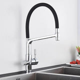 Kitchen Faucet - Ahronsohn Kitchen Faucet Single-Hole Dual Handle Pull-Down Spout with Water Filtering - undefined - Signature Faucets
