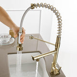 Kitchen Faucet - Spiro Single-Hole Dual Handle Kitchen Faucet with Pull-Down Spring Spout - undefined - Signature Faucets