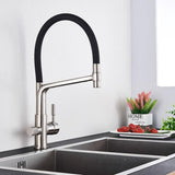Kitchen Faucet - Ahronsohn Kitchen Faucet Single-Hole Dual Handle Pull-Down Spout with Water Filtering - undefined - Signature Faucets
