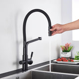 Kitchen Faucet - Ahronsohn Kitchen Faucet Single-Hole Dual Handle Pull-Down Spout with Water Filtering - undefined - Signature Faucets