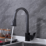 Kitchen Faucet - Besas Dual Function Pull Down Spout Kitchen Faucet - undefined - Signature Faucets