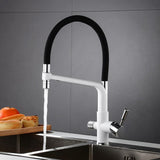 Kitchen Faucet - Ahronsohn Kitchen Faucet Single-Hole Dual Handle Pull-Down Spout with Water Filtering - undefined - Signature Faucets