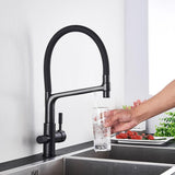 Kitchen Faucet - Ahronsohn Kitchen Faucet Single-Hole Dual Handle Pull-Down Spout with Water Filtering - undefined - Signature Faucets