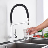 Kitchen Faucet - Ahronsohn Kitchen Faucet Single-Hole Dual Handle Pull-Down Spout with Water Filtering - undefined - Signature Faucets