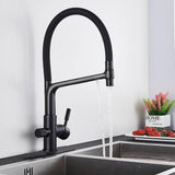 Kitchen Faucet - Ahronsohn Kitchen Faucet Single-Hole Dual Handle Pull-Down Spout with Water Filtering - undefined - Signature Faucets