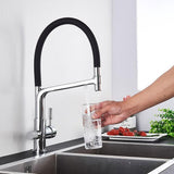 Kitchen Faucet - Ahronsohn Kitchen Faucet Single-Hole Dual Handle Pull-Down Spout with Water Filtering - undefined - Signature Faucets