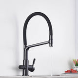 Kitchen Faucet - Ahronsohn Kitchen Faucet Single-Hole Dual Handle Pull-Down Spout with Water Filtering - undefined - Signature Faucets