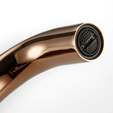 Kitchen Faucet - Dux 2-Hole Kitchen Faucet 360 Degree Swivel Spout - undefined - Signature Faucets