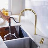 Kitchen-Faucet-Cale-2-Hole-Kitchen-Faucet-With-Pull-Out-Spout-brushed-gold-Signature-Faucets #color_brushed gold