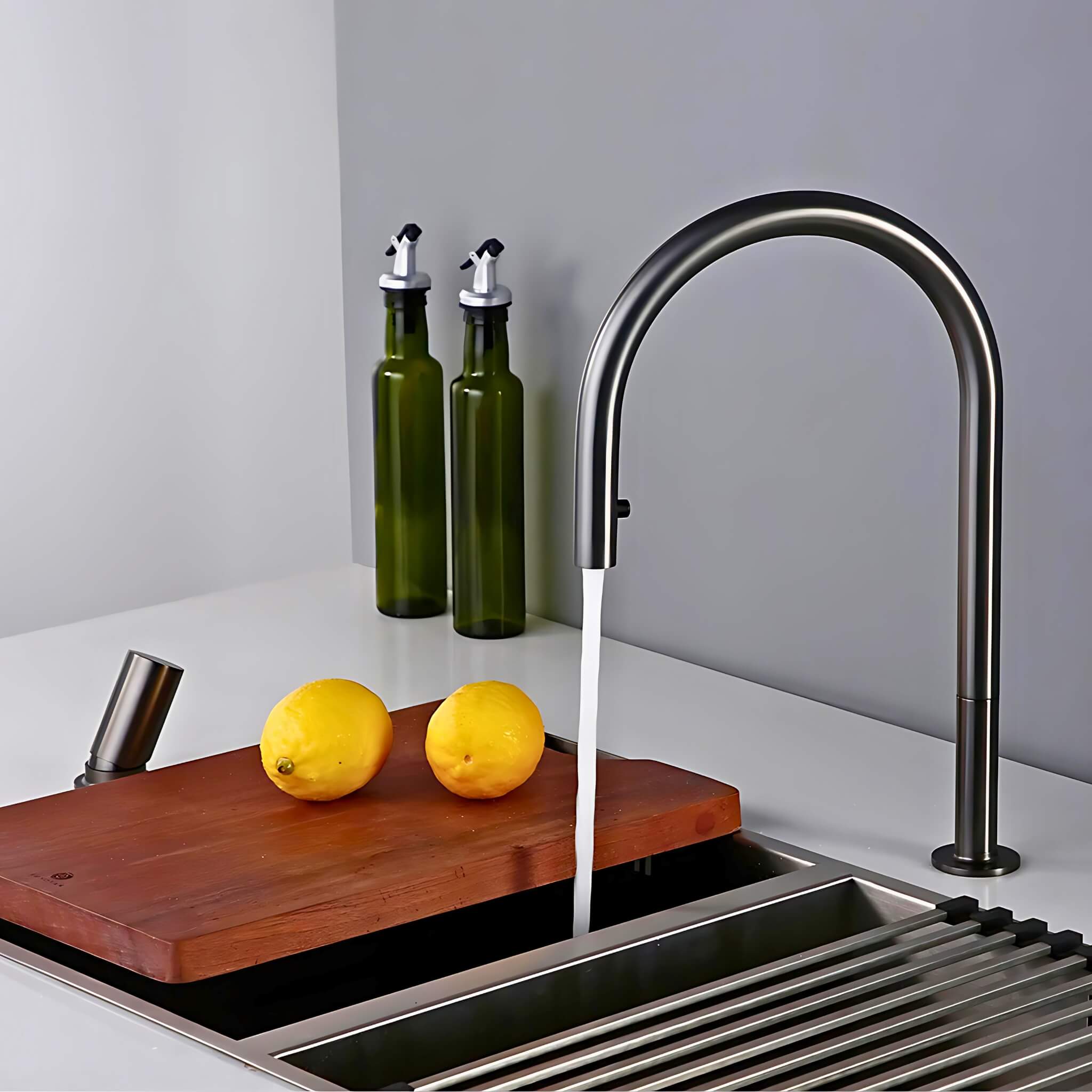 Calé 2-Hole Kitchen Faucet With Pull Out Spout – Signature Faucets