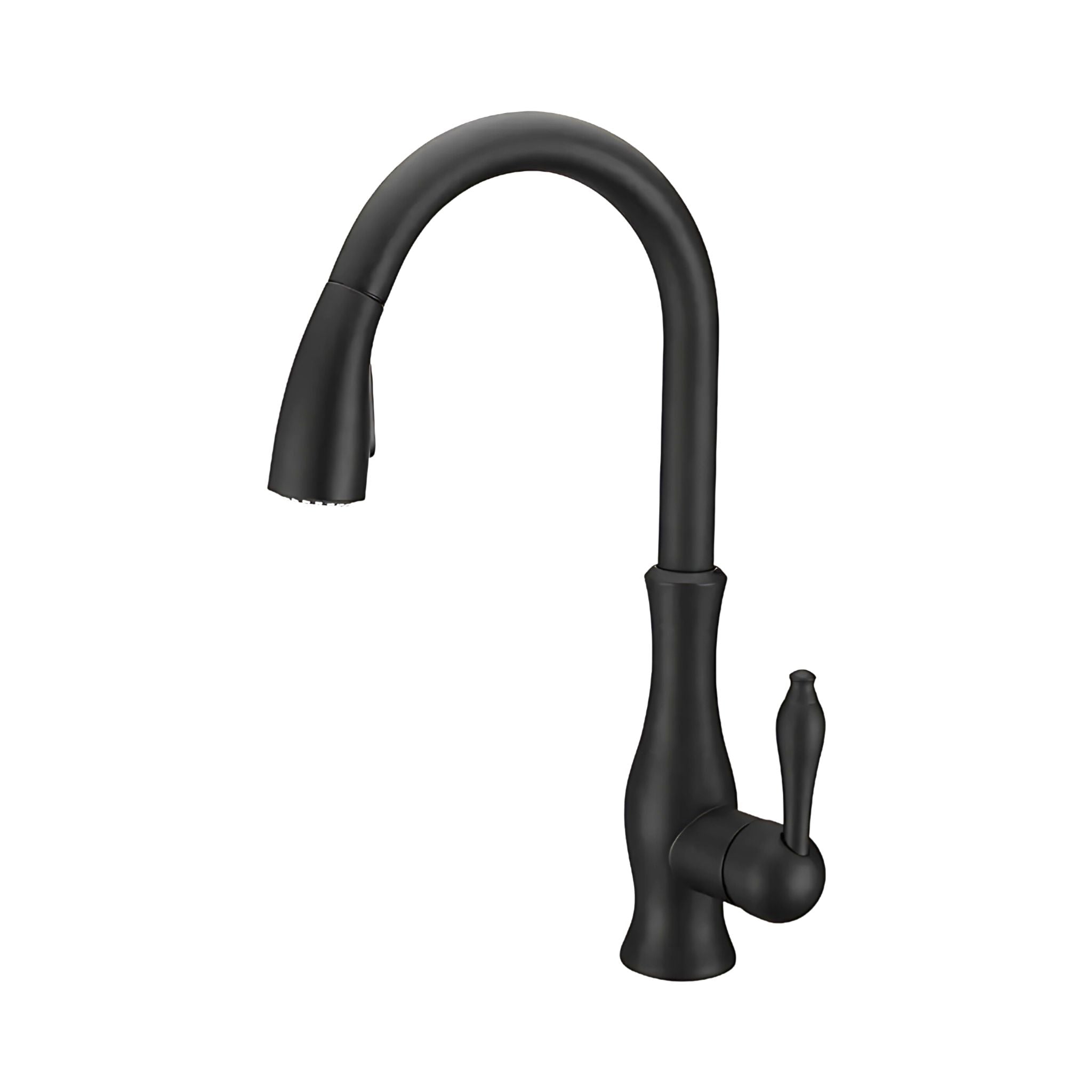 Matte black kitchen faucet on a white background #color_matte black
