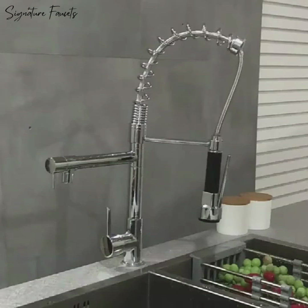 Single Hole Dual Handle Kitchen Faucet