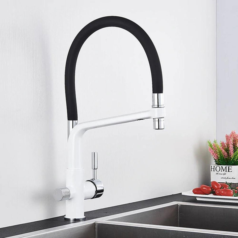 Kitchen Faucet - Ahronsohn Kitchen Faucet Single-Hole Dual Handle Pull-Down Spout with Water Filtering - undefined - Signature Faucets