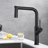Kitchen Faucet - Ergon Single-Hole Kitchen Faucet With Pull Out Spout - undefined - Signature Faucets