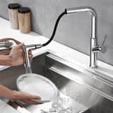 Kitchen Faucet - Ergon Single-Hole Kitchen Faucet With Pull Out Spout - undefined - Signature Faucets